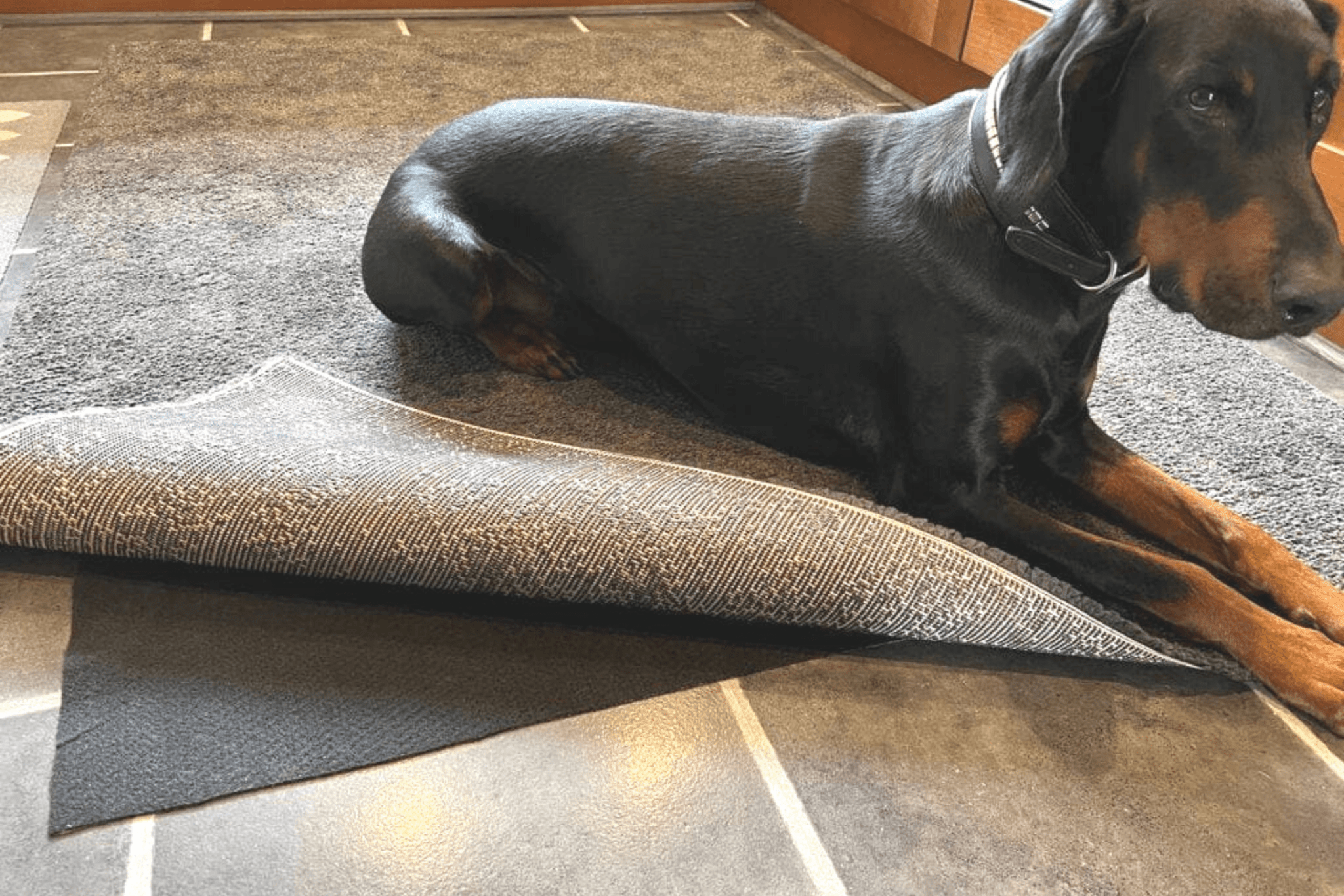 Do I Need Rug Underlay? UK's Rug Cleaning Specialists